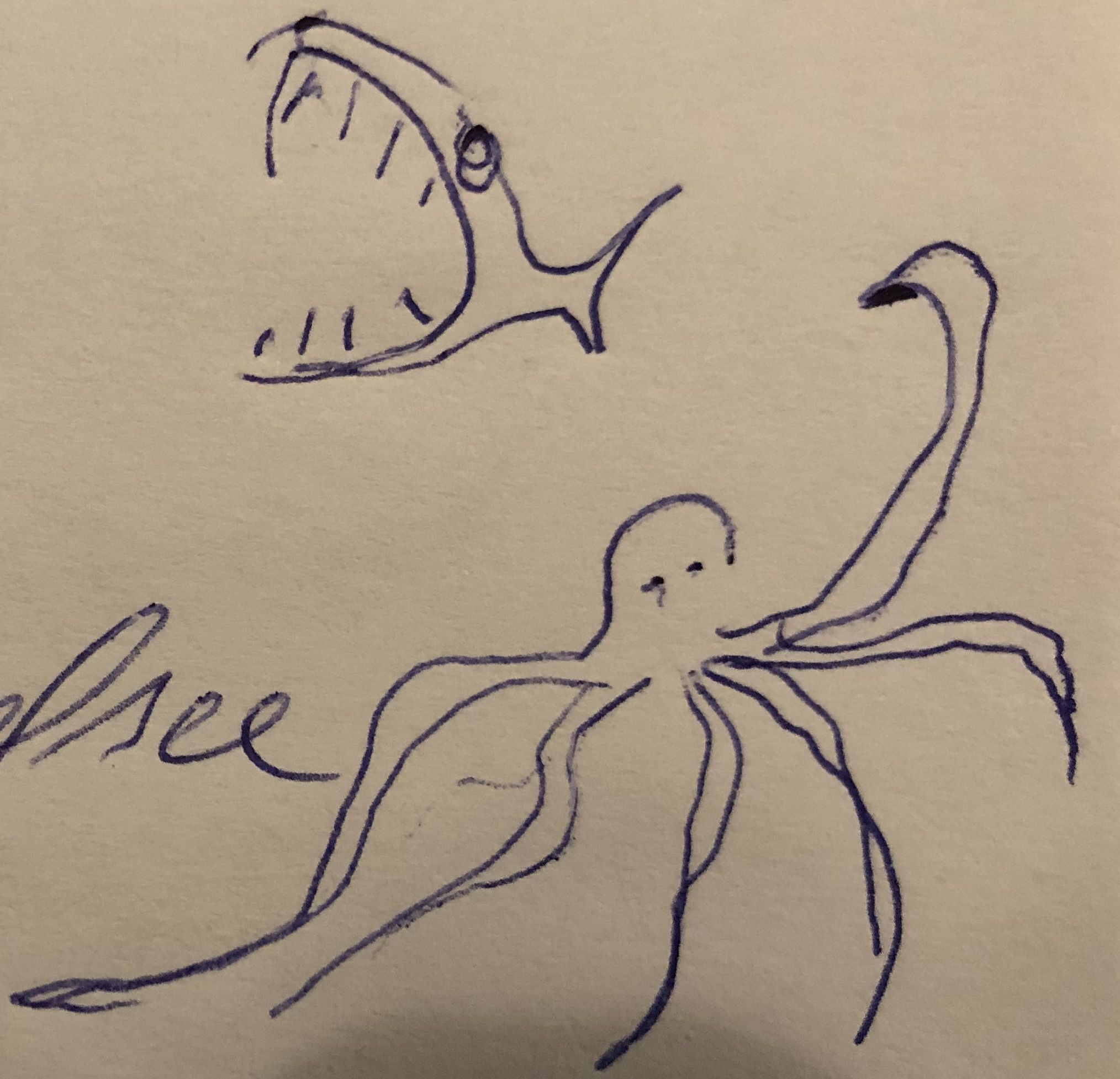 Zypern_Tiefsee_Kreaturen.JPG